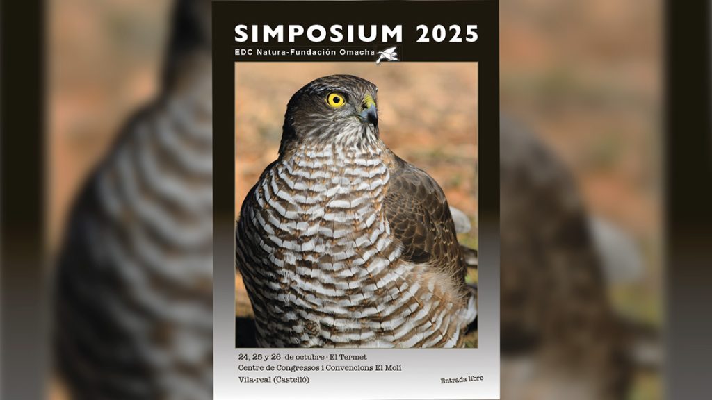 Simposium 2025