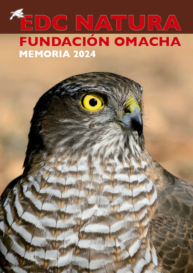 Memoria 2024