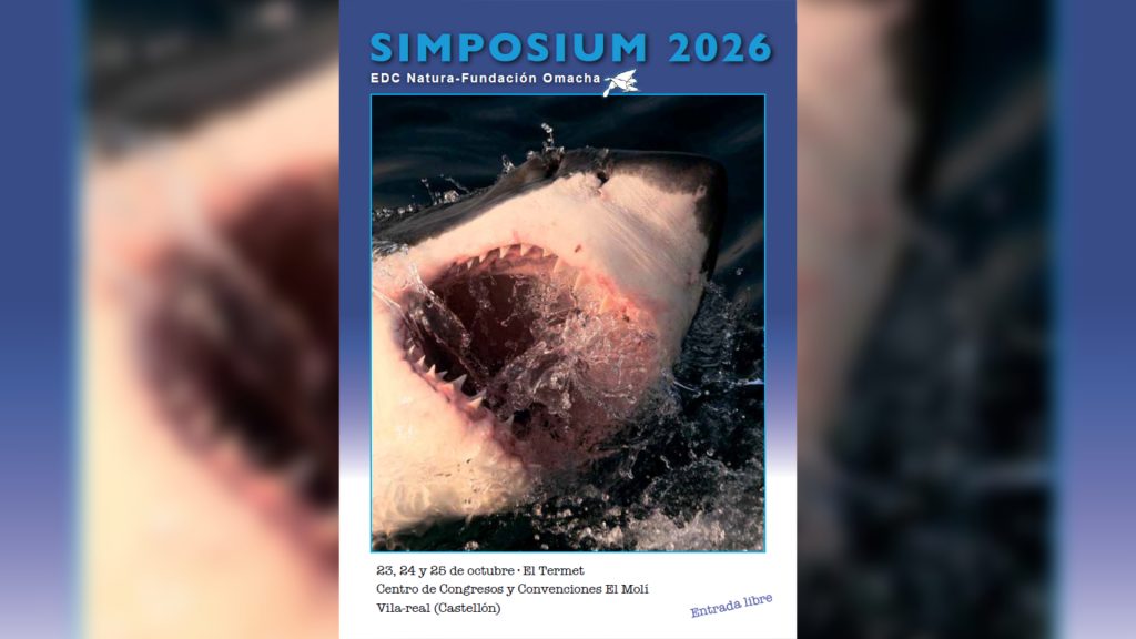 Simposium 2026