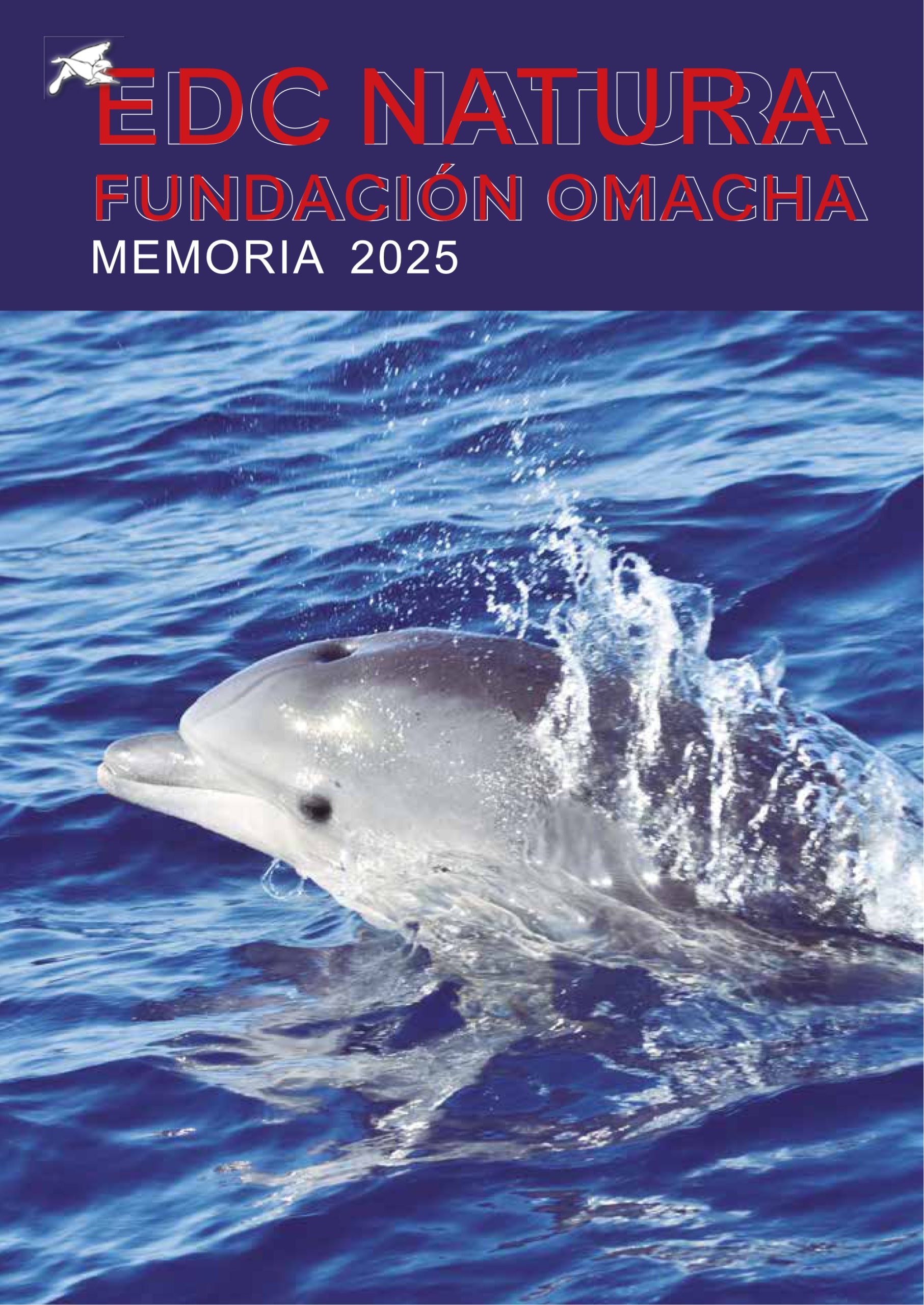 Memoria 2025